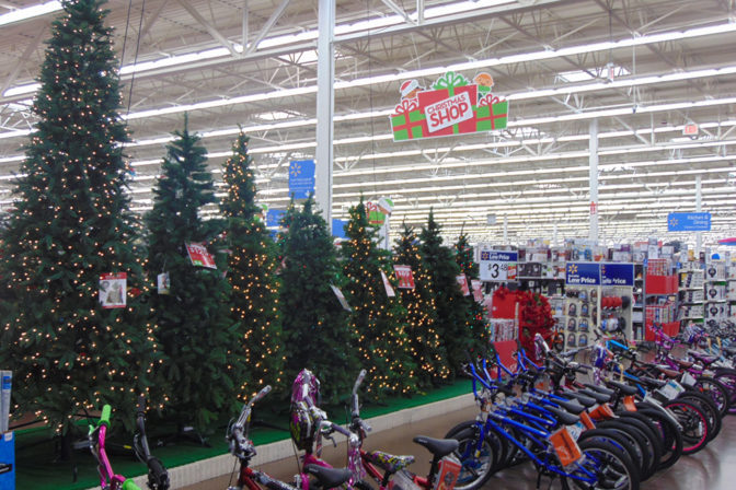 Row of Children's Bikes in Front of a row of Christmas Trees | The Joy of Giving supports families in need in Collier County